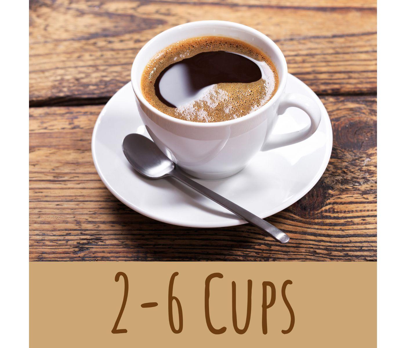 Καφετιέρα Φίλτρου Trisa Electronics Perfect Coffee 6 SPK Elna